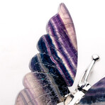 Polished Rainbow Fluorite Slice Butterfly Wings