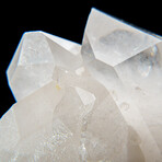 Genuine Clear Quartz Crystal Cluster Point from Brazil // 2.8 lbs