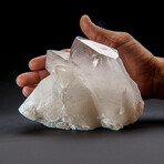 Genuine Clear Quartz Crystal Cluster Point from Brazil // 2.8 lbs