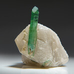 Green Tourmaline in Quartz from Gilgit District, Gilgit-Baltistan, Pakistan