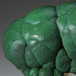 Botryoidal Malachite From the Congo v.1