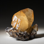 Twinned Golden Calcite Crystal from Elmwood Mine, Tennessee // 153.1 grams