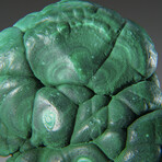 Botryoidal Malachite From the Congo v.2