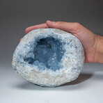 Blue Celestite Cluster From Sankoany, Ketsepy Mahajanga, Madagascar // 6.7 lbs