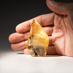 Twinned Golden Calcite Crystal from Elmwood Mine, Tennessee // 75.2 grams