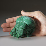 Botryoidal Malachite From the Congo v.2