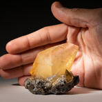 Twinned Golden Calcite Crystal from Elmwood Mine, Tennessee // 153.1 grams