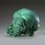 Botryoidal Malachite From the Congo v.2