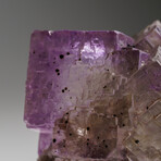 Purple Yellow Fluorite from Elmwood Mine, Carthage, Smith County, Tennessee v.1