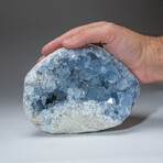 Blue Celestite Cluster From Sankoany, Ketsepy Mahajanga, Madagascar // 6.1 lbs