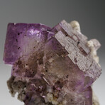 Purple Yellow Fluorite from Elmwood Mine, Carthage, Smith County, Tennessee v.1