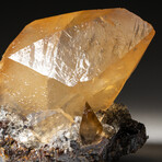 Twinned Golden Calcite Crystal from Elmwood Mine, Tennessee // 153.1 grams