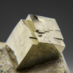 Pyrite Cube on Basalt from Navajún, La Rioja Province, Spain // 1.2 lbs