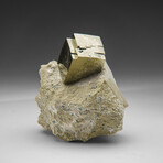 Pyrite Cube on Basalt from Navajún, La Rioja Province, Spain // 1.2 lbs