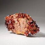 Genuine Vanadinite Crystal Cluster on Matrix from Morocco // 247.1 grams