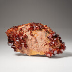 Genuine Vanadinite Crystal Cluster on Matrix from Morocco // 247.1 grams