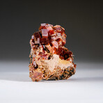 Genuine Vanadinite Crystal Cluster on Matrix from Morocco // 262.2 grams