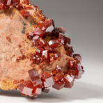 Genuine Vanadinite Crystal Cluster on Matrix from Morocco // 247.1 grams