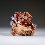 Genuine Vanadinite Crystal Cluster on Matrix from Morocco // 262.2 grams