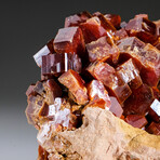 Genuine Vanadinite Crystal Cluster on Matrix from Morocco // 262.2 grams