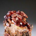 Genuine Vanadinite Crystal Cluster on Matrix from Morocco // 262.2 grams