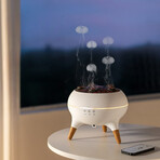 Dynamic Jellyfish Air Humidifier