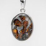 Sericho Pallasite Meteorite Oval Pendant with 18" Sterling Silver Chain