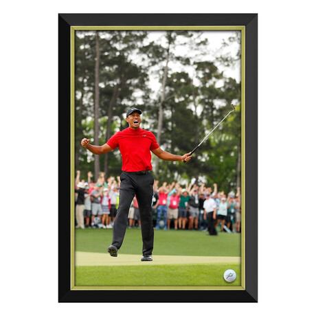 Tiger Woods Masters Champion Facsimile Signature Golf Ball - Framed Canvas