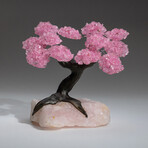 Genuine Rose Quartz Clustered Gemstone Tree on Rose Quartz Matrix // The Eternal Love Tree // Large