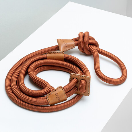 Ray Harness // Camel (Small)