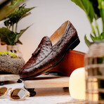 Aubiere // Ostrich Tassel Loafers // Brown (US: 12)