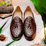 Aubiere // Ostrich Tassel Loafers // Brown (US: 12)