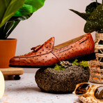 Aubiere // Ostrich Tassel Loafers // Cognac (US: 8.5)