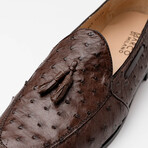 Aubiere // Ostrich Tassel Loafers // Brown (US: 12)