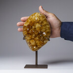 Genuine Citrine Quartz Crystal Cluster on Metal Stand // 3.5 lbs