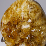 Genuine Citrine Quartz Crystal Cluster on Metal Stand // 3.5 lbs