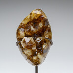 Genuine Citrine Quartz Crystal Cluster on Metal Stand // 3 lbs