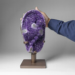 Genuine Amethyst Cluster on Stand from Brazil // 12.5 lbs