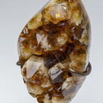 Genuine Citrine Quartz Crystal Cluster on Metal Stand // 3 lbs