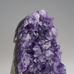 Genuine Amethyst Quartz Crystal Cluster from Brazil // 361.1 g