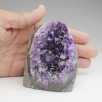 Genuine Amethyst Quartz Crystal Cluster from Brazil // 568.9 g