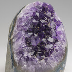 Genuine Amethyst Quartz Crystal Cluster from Brazil // 568.9 g