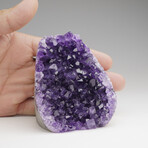 Genuine Amethyst Quartz Crystal Cluster from Brazil // 485.8 g