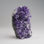 Genuine Amethyst Quartz Crystal Cluster from Brazil // 309.4 g