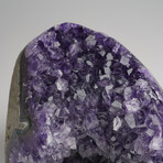 Genuine Amethyst Quartz Crystal Cluster from Brazil // 3.4 lbs