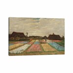 Tulpenfelder (Tulip Fields) by Vincent van Gogh (18"H x 26"W x 1.5"D)