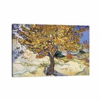 Mulberry Tree, 1889 by Vincent van Gogh (18"H x 26"W x 1.5"D)