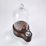 Speakeasy Smoker Bundle // Kona + Speakeasy Torch + Wood Chip Shavings