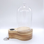 Speakeasy Smoker Bundle // Clear + Speakeasy Torch + Wood Chip Shavings