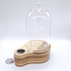 Speakeasy Smoker Bundle // Clear + Speakeasy Torch + Wood Chip Shavings